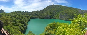 The Green Lagoon